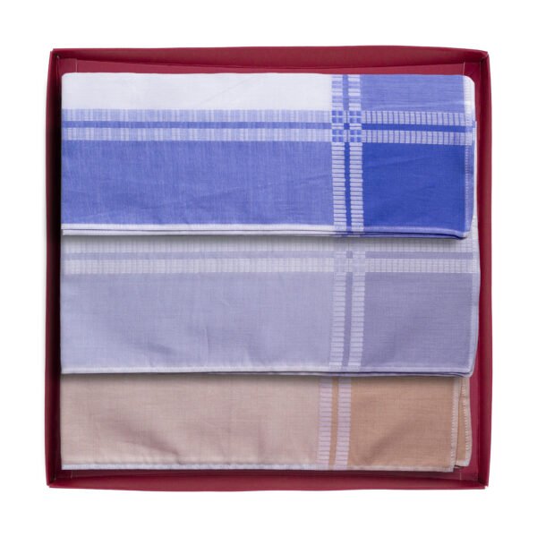 handkerchief-white-color-border-527x12-002